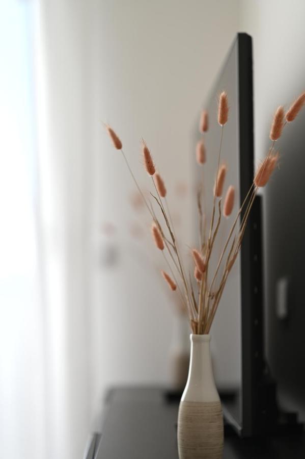 Apartman Lovre 자다르 외부 사진
